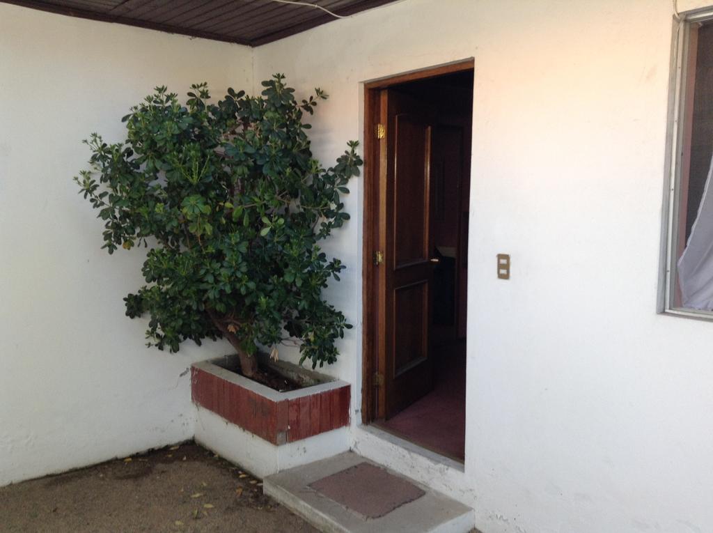 Hotel Alicante Chillán Exteriör bild